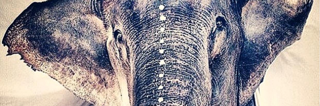 BaggettEmilee's profile banner image