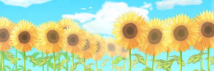 onlineSarah's profile banner image