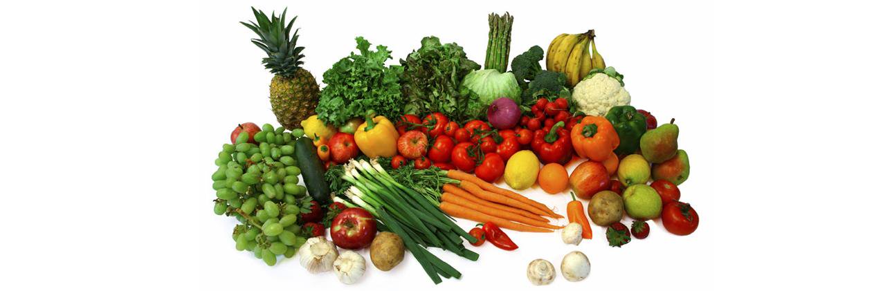 TrueNorth Health banner