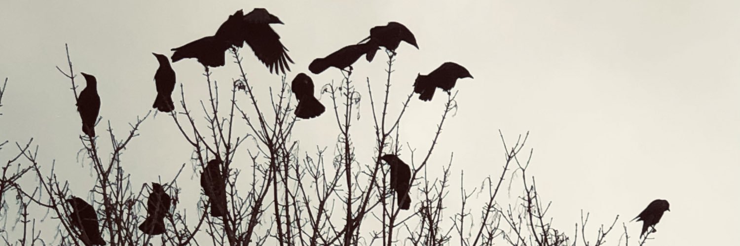 gregorsdressing's profile banner image