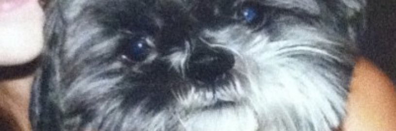 lmwalters2's profile banner image