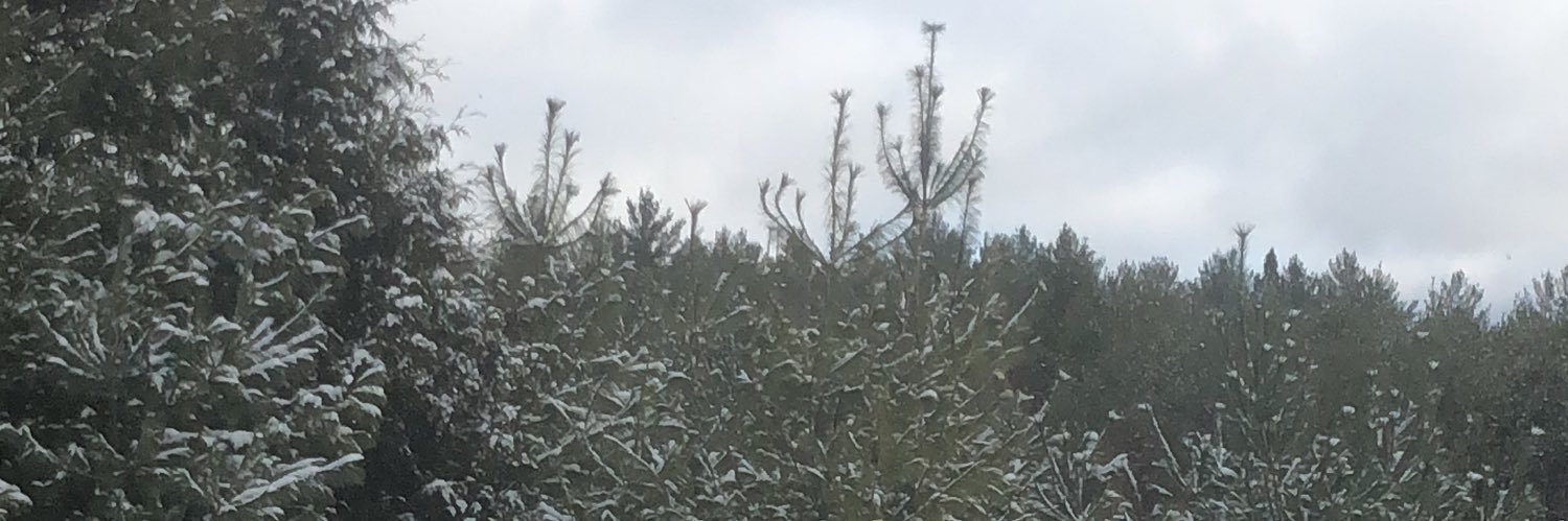 notthattandy's profile banner image
