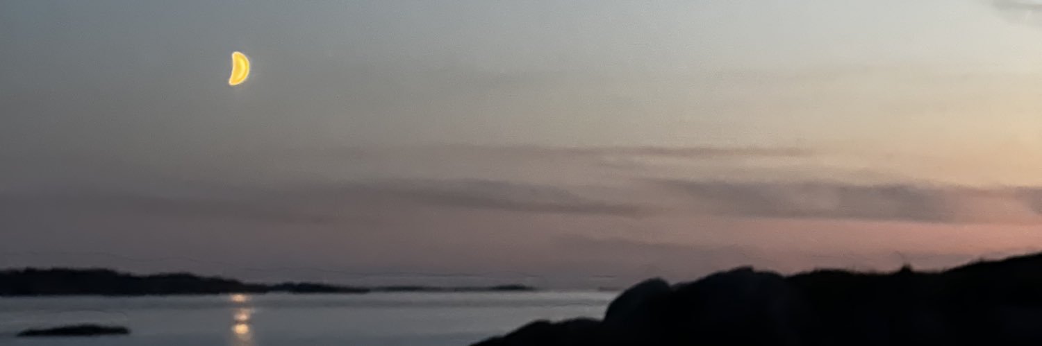 MoaOhmaan's profile banner image