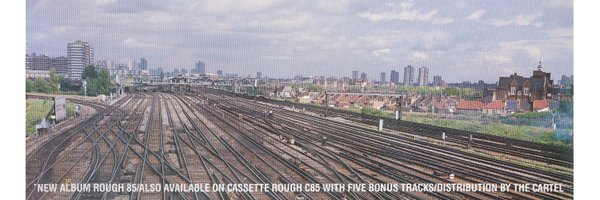 DimpleDiscs Profile Banner