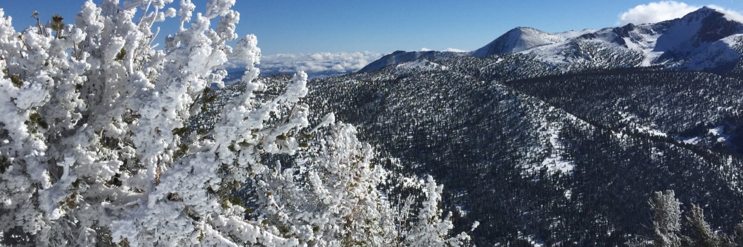 mrodgers25's profile banner image