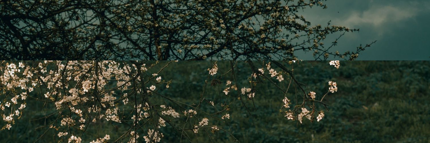SforSahar's profile banner image