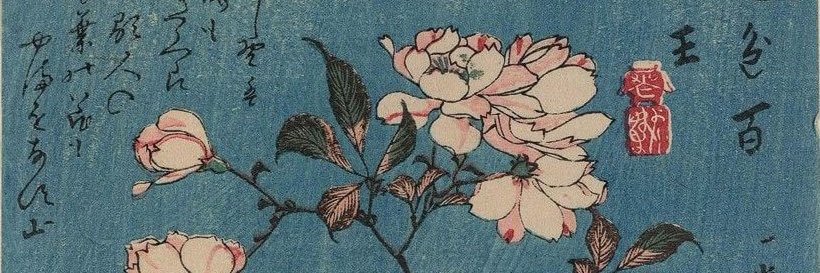 blanche banner