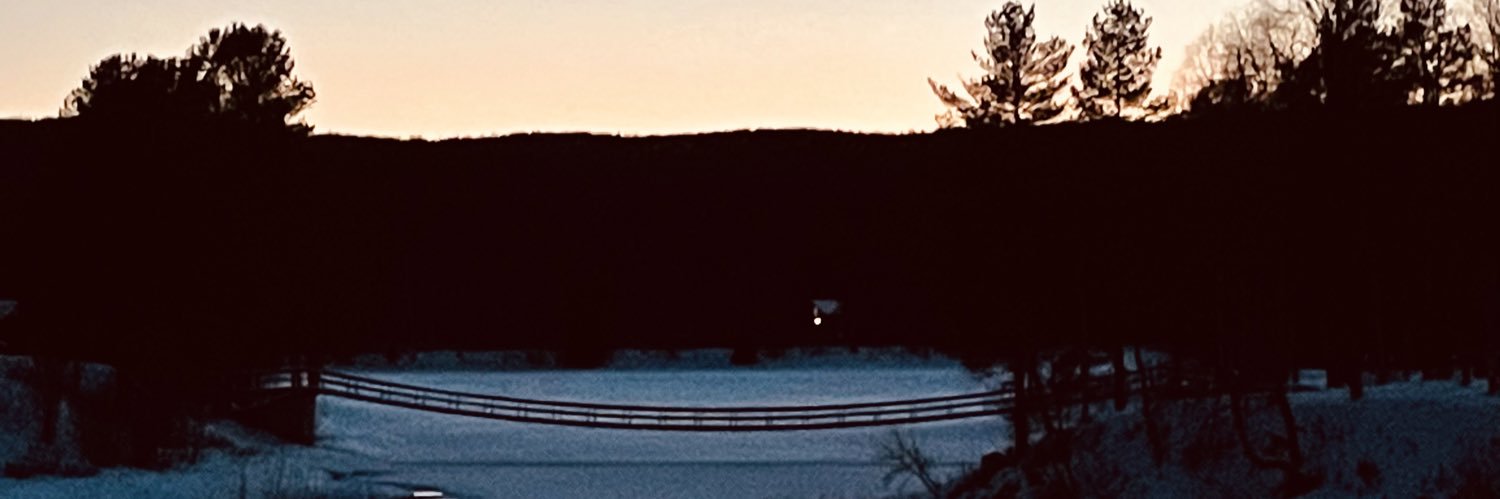 LNordgaard's profile banner image