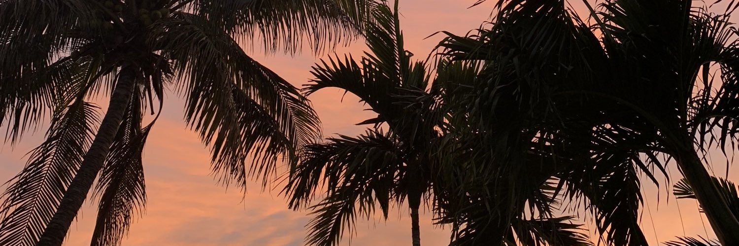 damnriss's profile banner image