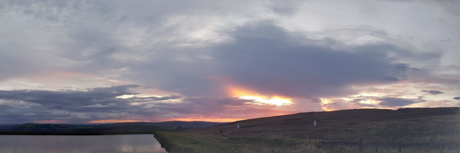 Lisa Shepherd 💙 banner