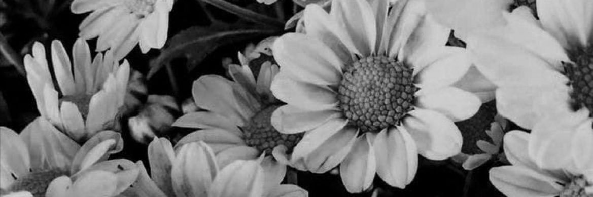 DystinyD's profile banner image