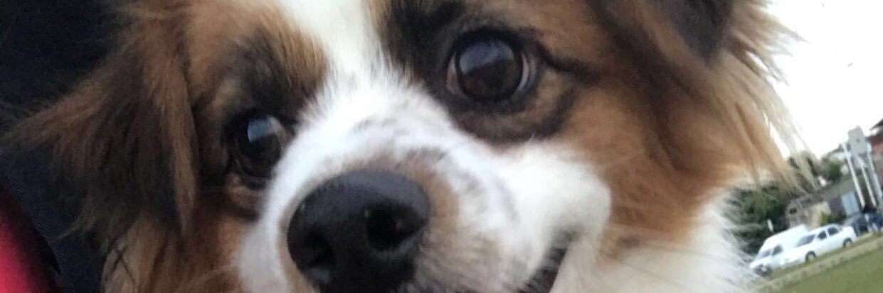 Flooorgaray's profile banner image