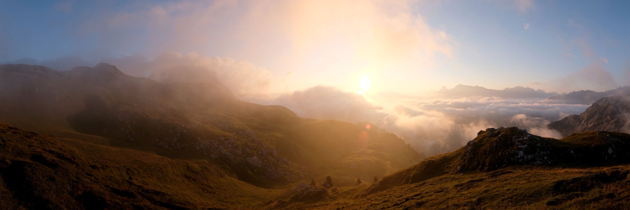 Elise Elsacker banner