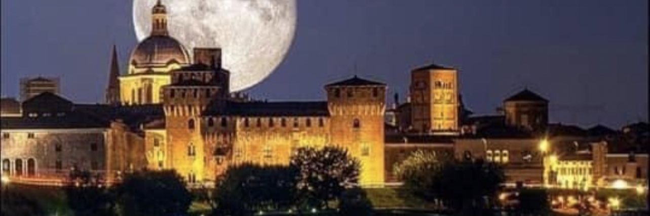 micontesini's profile banner image