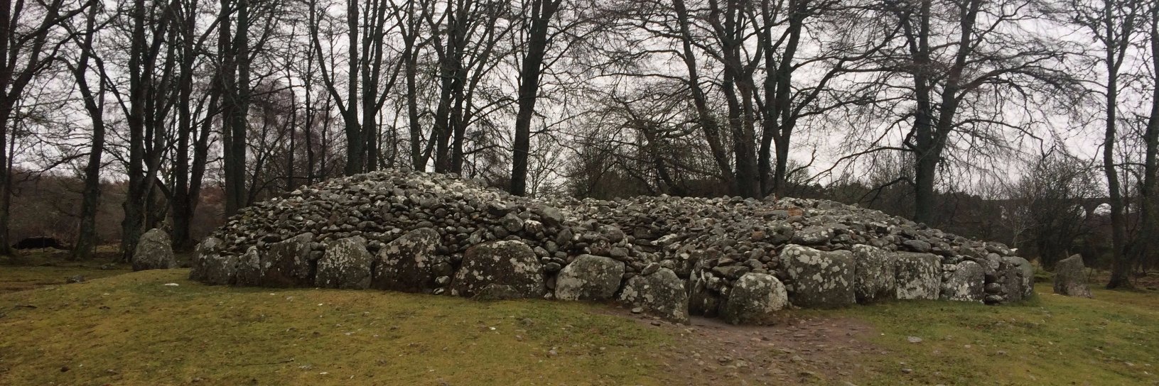 ScotStudentArch banner