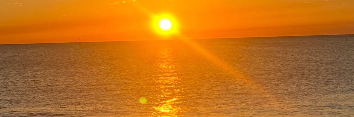 alisonmwhite64's profile banner image