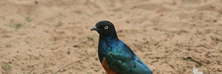 odanghabzz's profile banner image