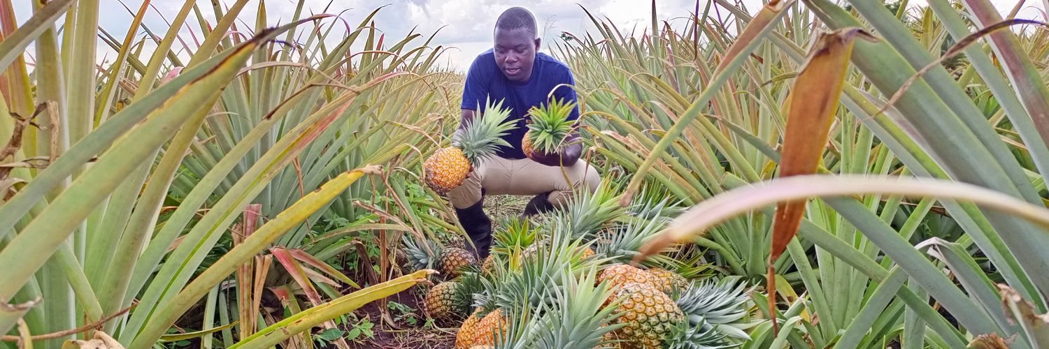 Charles Layoo banner