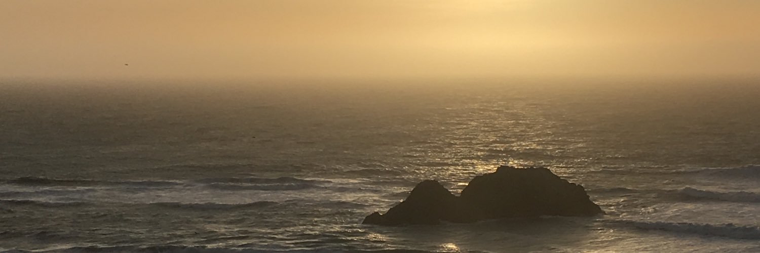 Tanya Johnson banner