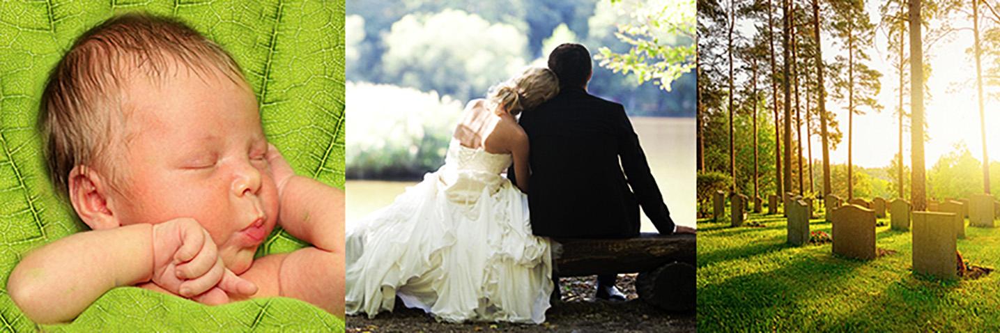 BMDnotices's profile banner image