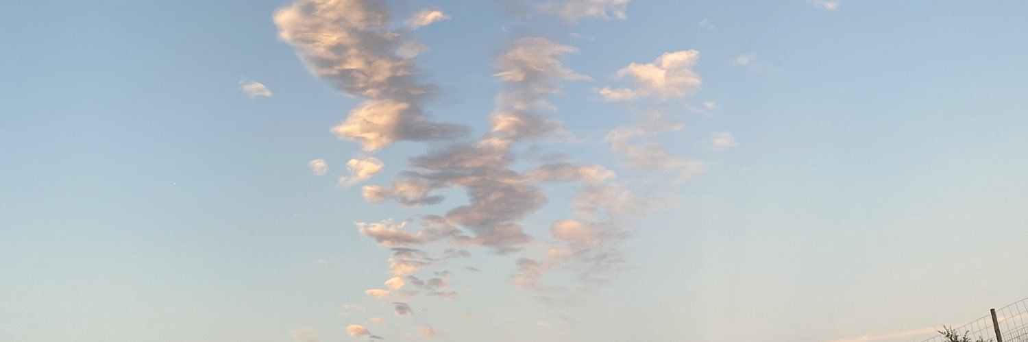 SandroKappa's profile banner image