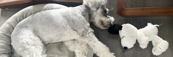 diceK66 Profile Banner