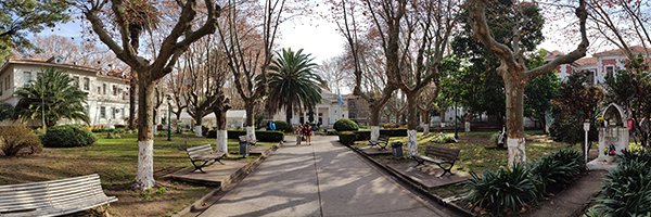 InstitutoRoffo Profile Banner