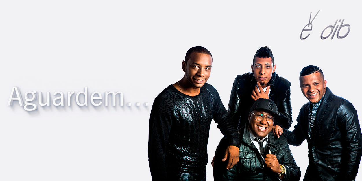 dibrincadeira's profile banner image