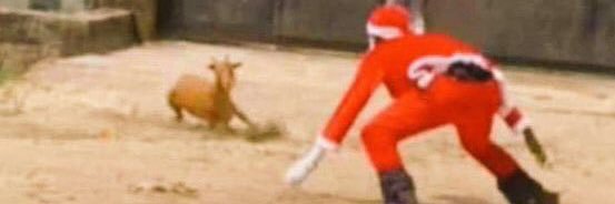 GroovePapi💰 banner