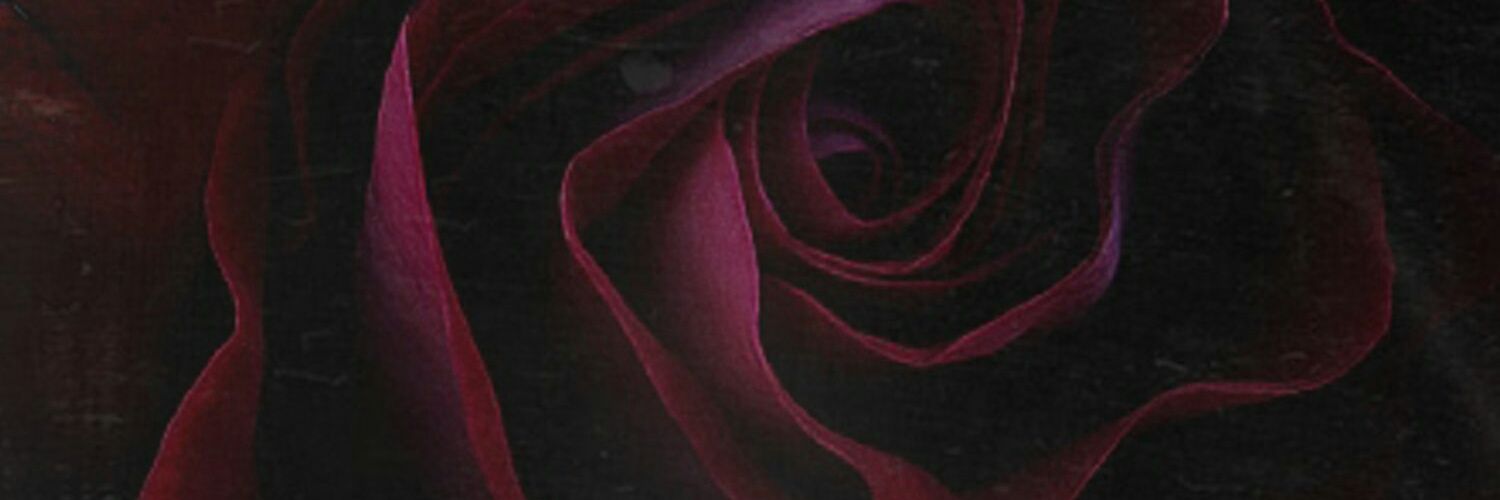 RayJSpha's profile banner image