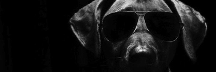sckcasey's profile banner image