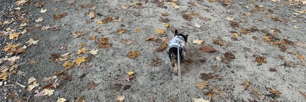 Bethicskim Profile Banner