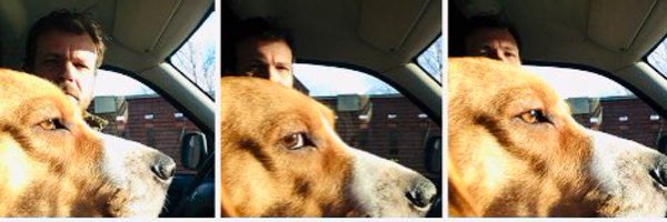 gesnedenkoekje Profile Banner