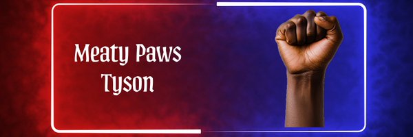 Tyson0213 Profile Banner
