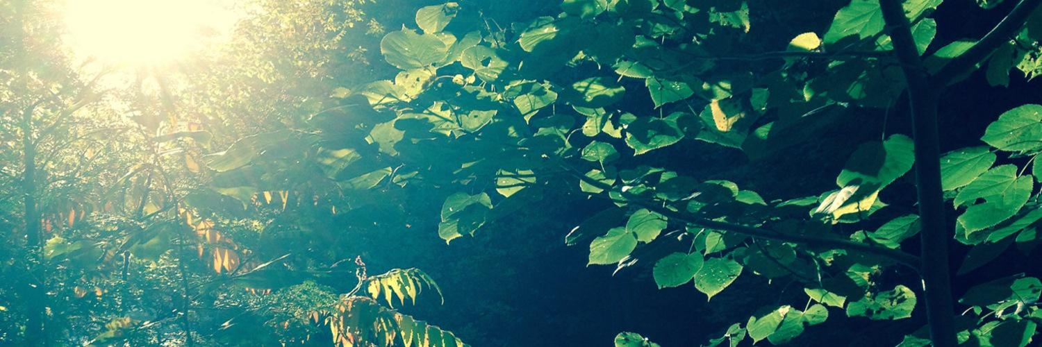 Sarah_Chown_'s profile banner image