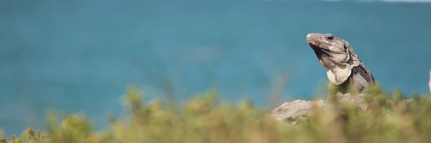vonPreysing's profile banner image