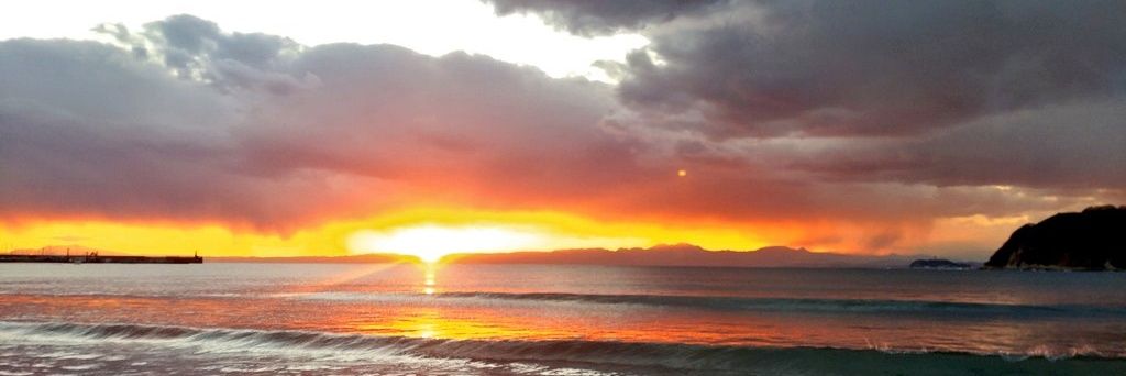 まあち｜森真弓🐾 banner