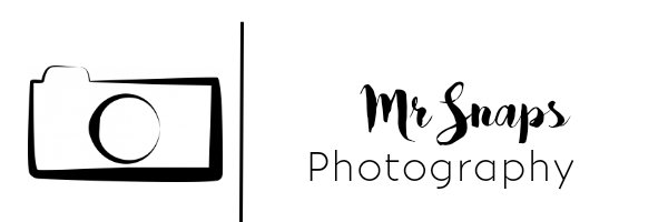 Mr snaps banner