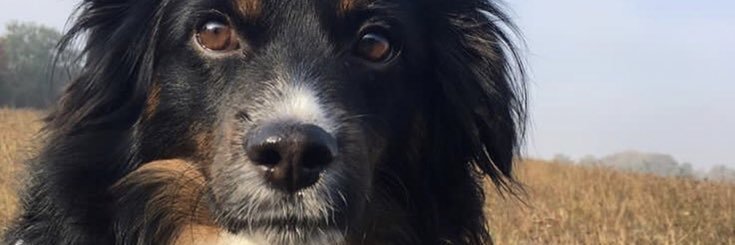 KateBendel's profile banner image