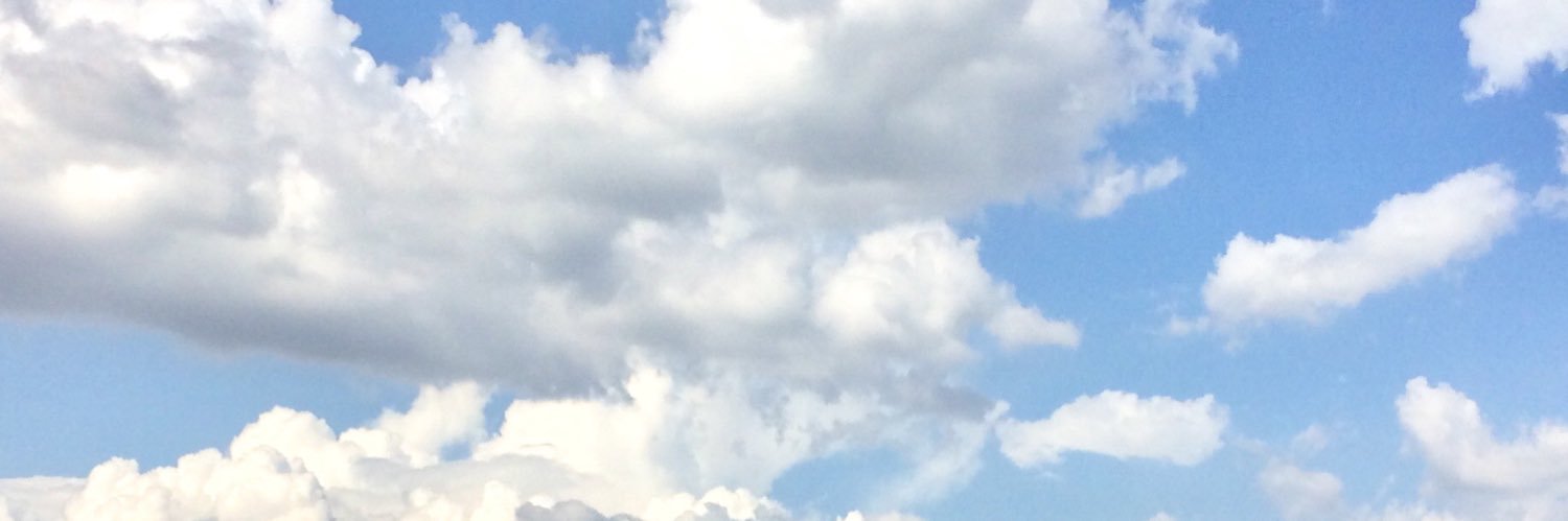 Ayça Ekici banner