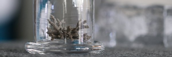 RIEPSCoR Profile Banner