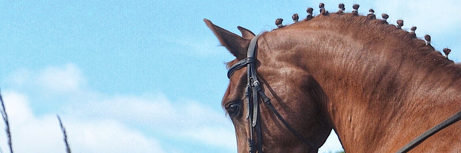 taaniaacc's profile banner image