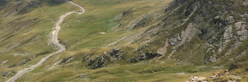 Dr Daniela Singh banner