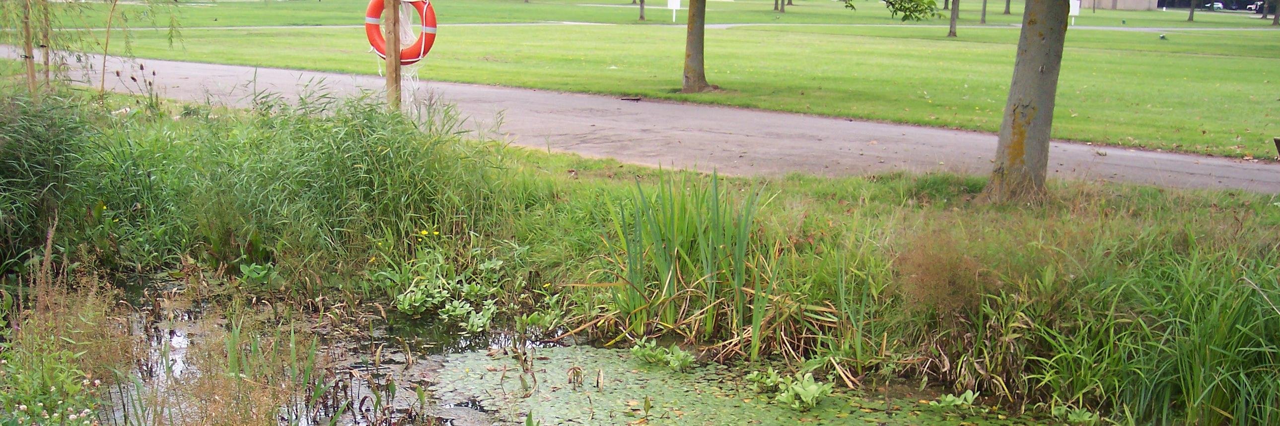 RLSS UK Warwickshire banner