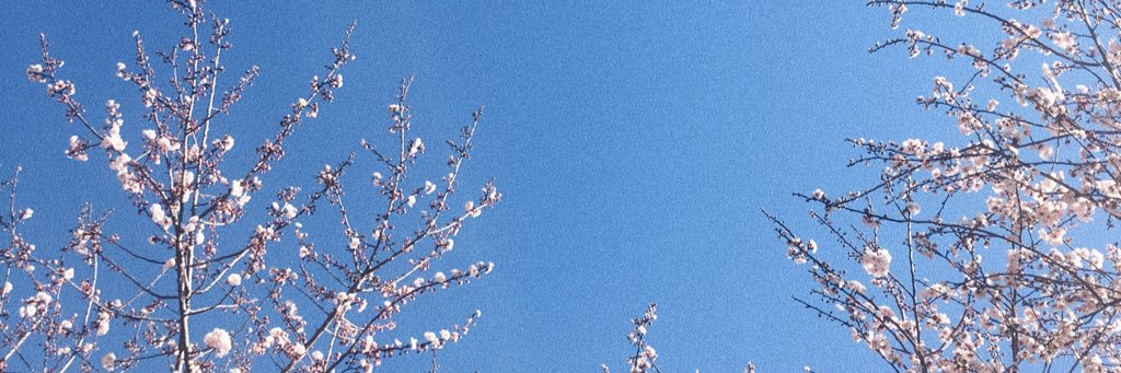 meganstrachan's profile banner image