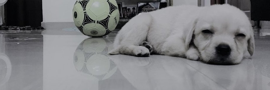 imrockybr's profile banner image