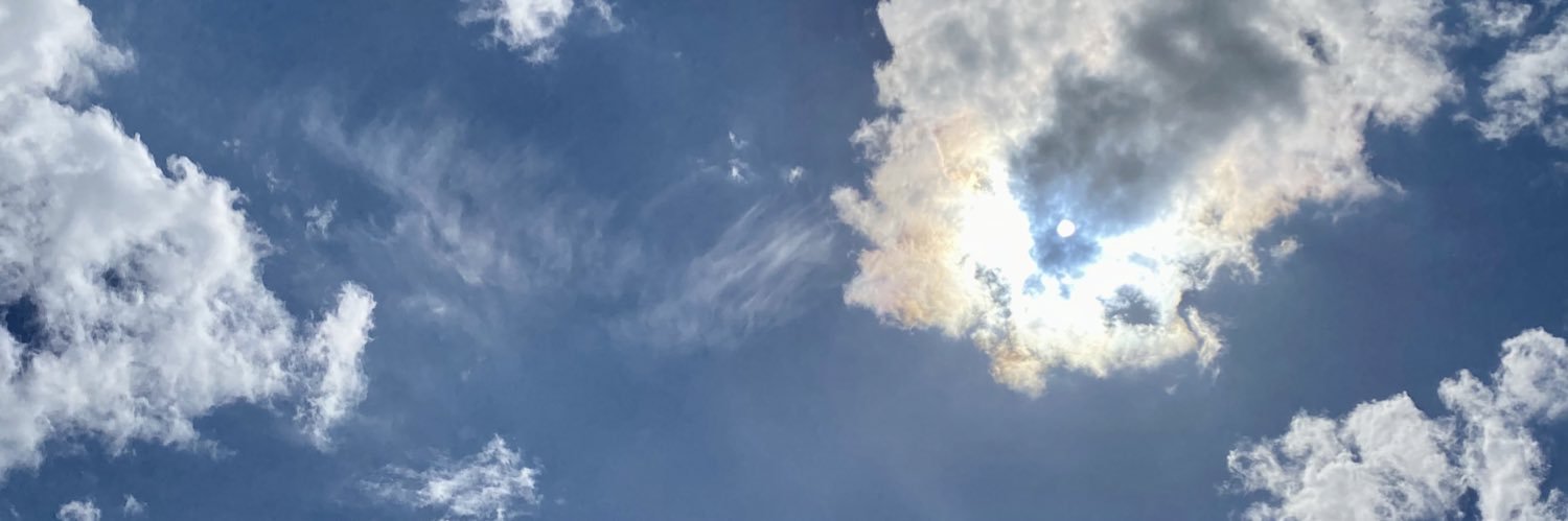 PunkAPoule's profile banner image