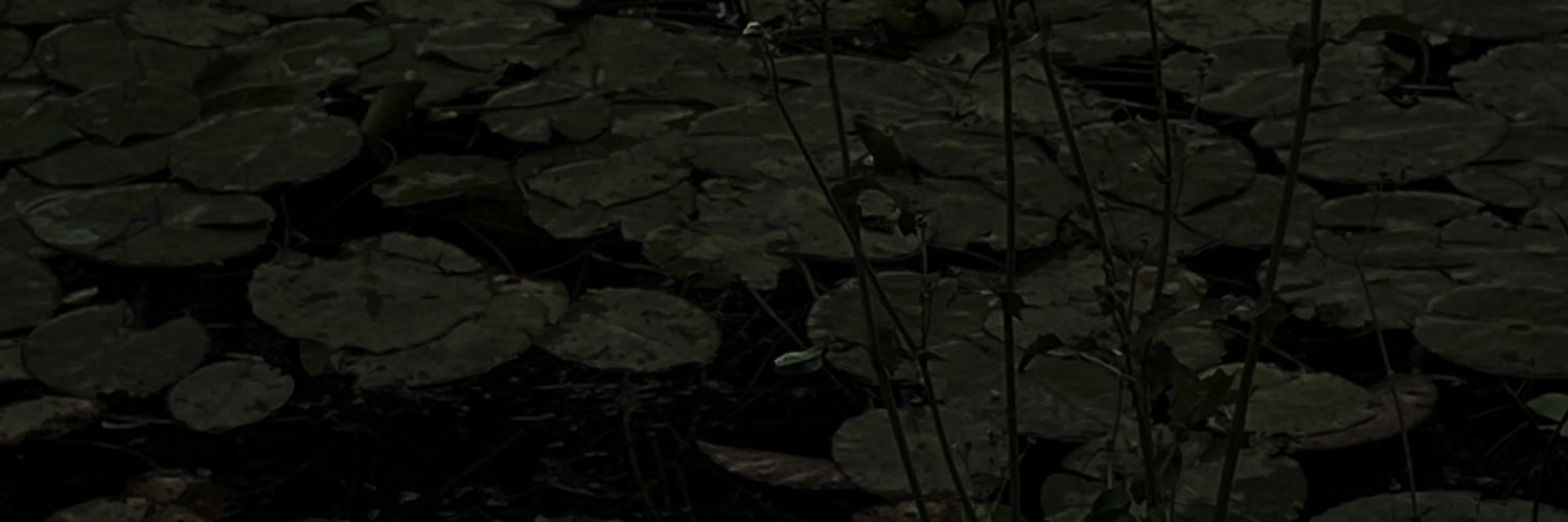 adrian_dmh's profile banner image
