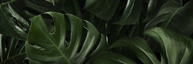 antoniohz3's profile banner image