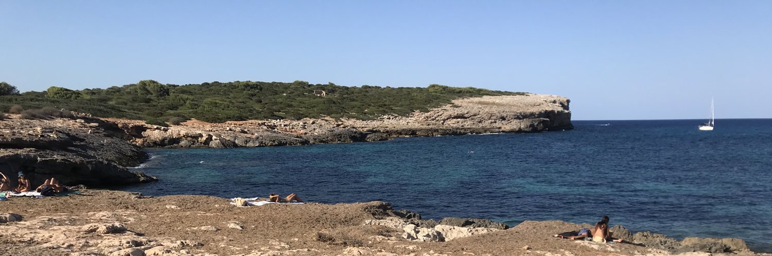 Coloma Mateu Ramis banner